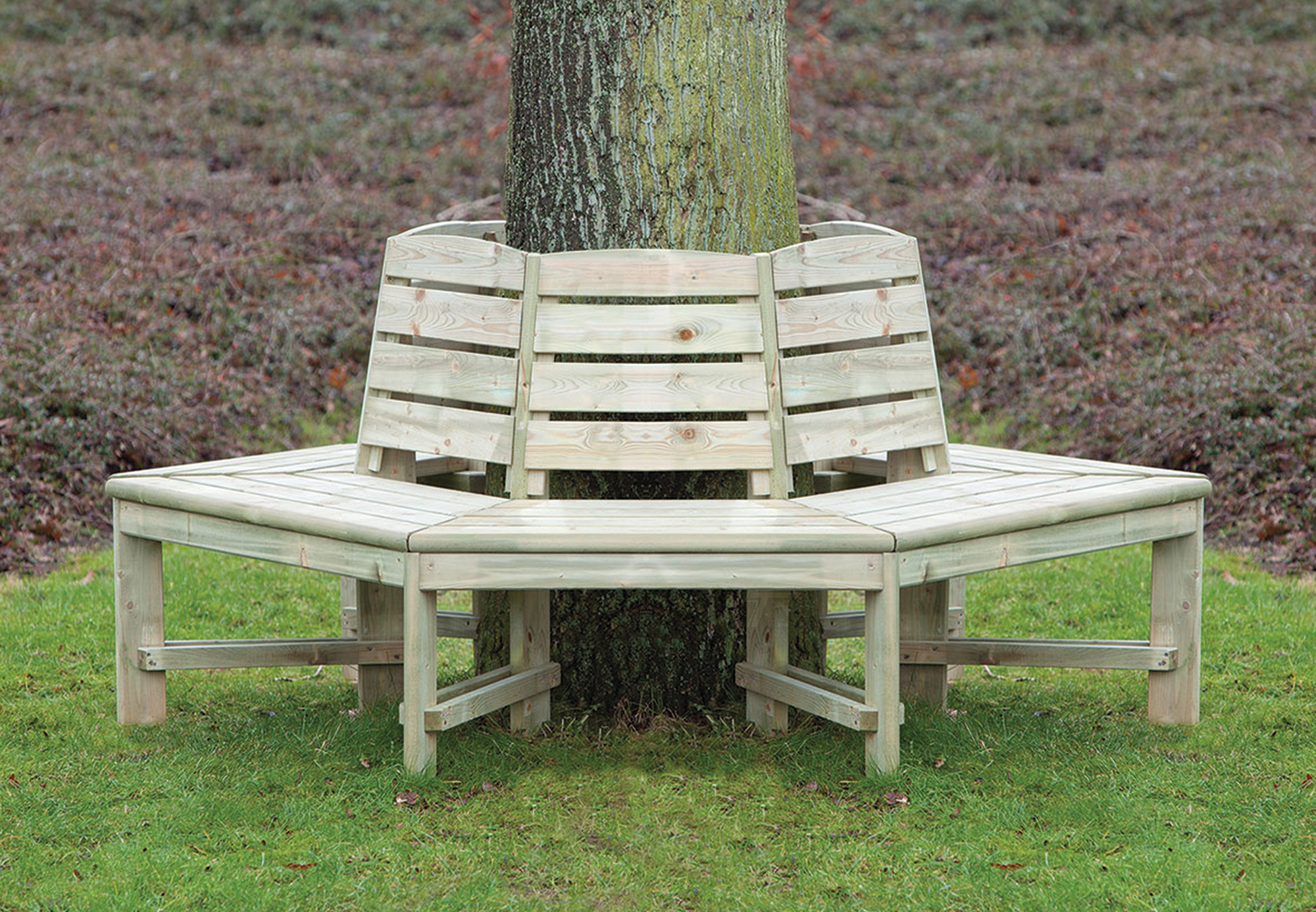 Tree bench pinewood