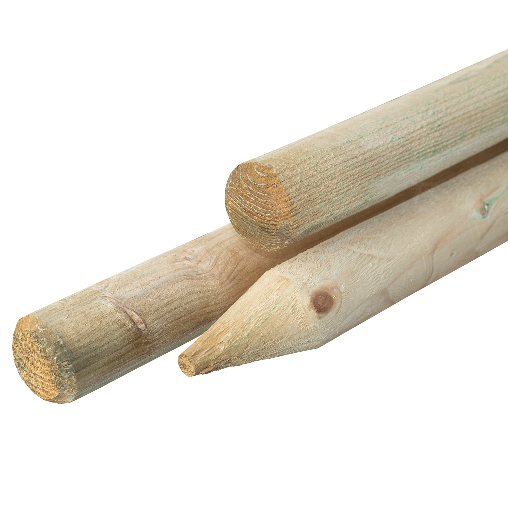 Grenen pallisade Ø 6,0 x 60 cm, groen geïmpregneerd, gepunt, rond gefreesd, gekruind Grenen pallisade Ø 6,0 x 60 cm, groen geïmpregneerd, gepunt, rond gefreesd, gekruind