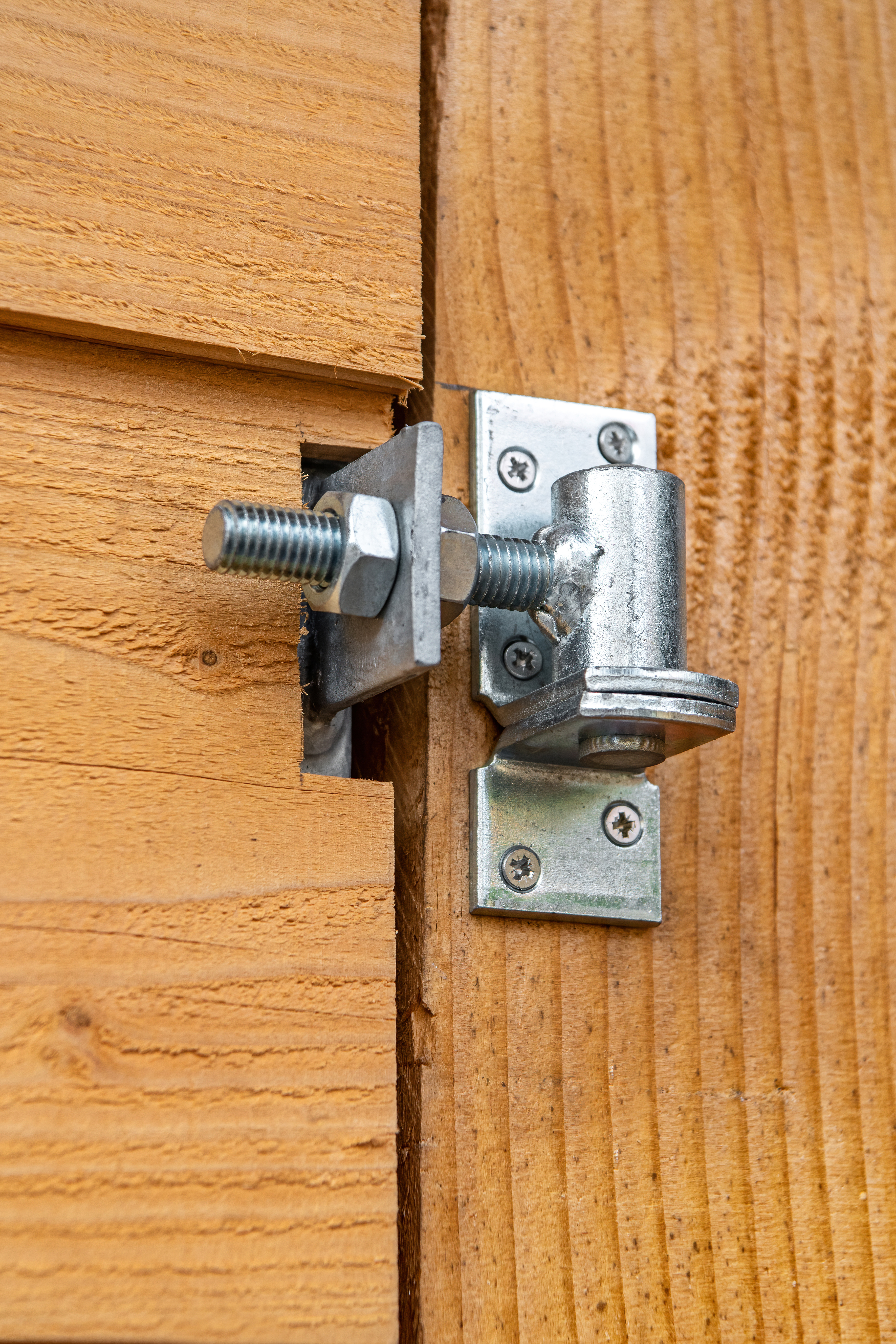 Plaatduim ø16 mm - 38 x 5 mm Plaatduim ø16 mm - 38 x 5 mm