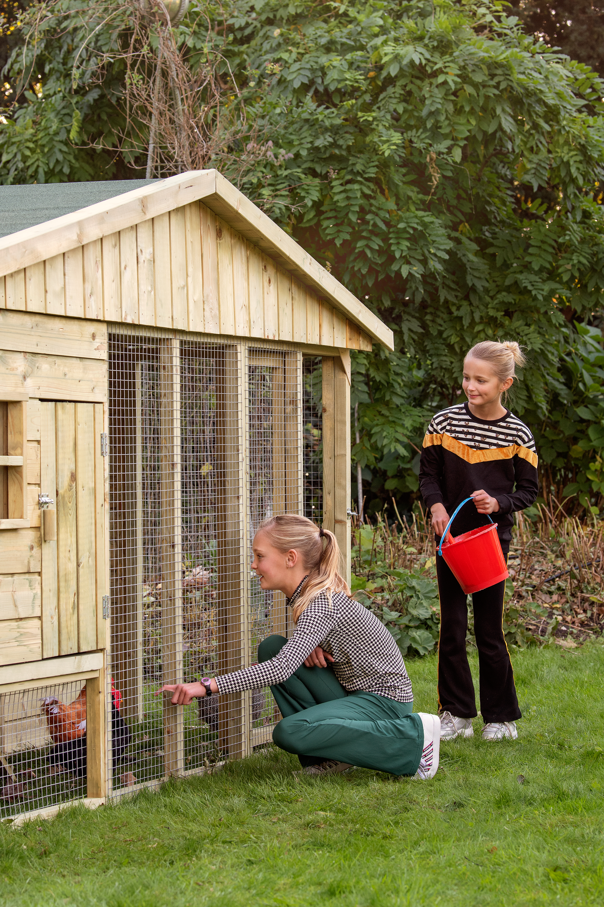 Ambiance Image Bielefelder Chicken Coop