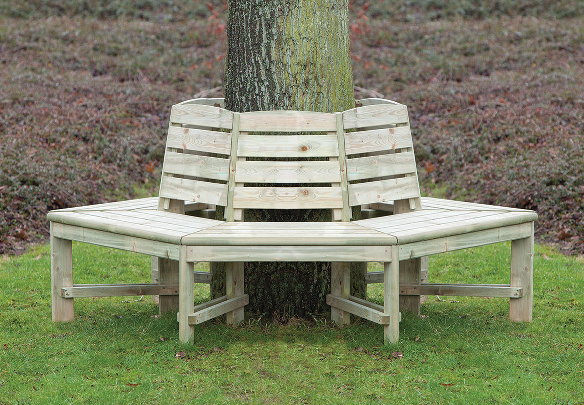 Product image high resolution (main image) Baumbank Fichte