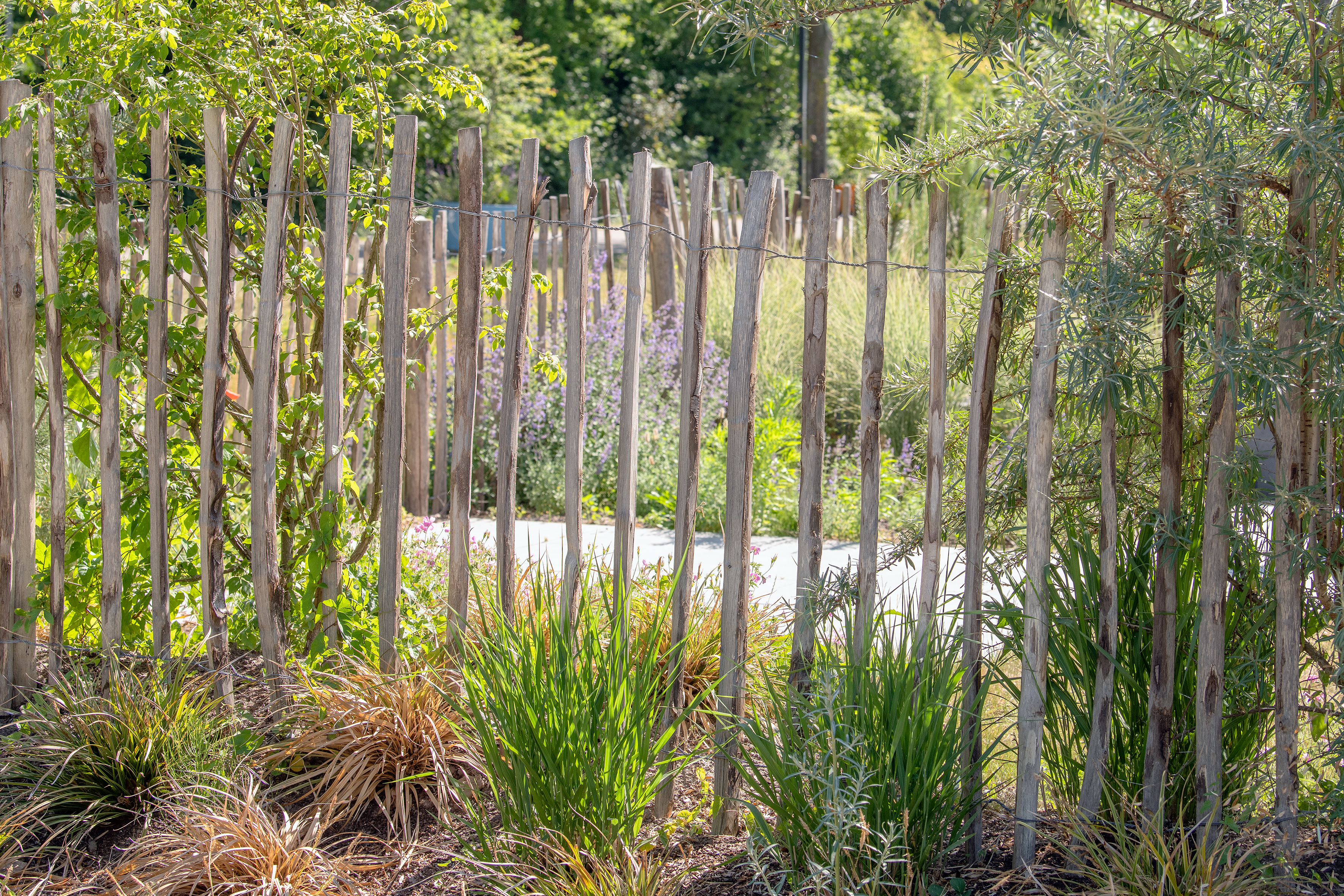 Englischer Kastanienzaun auf Rolle 90cm/7.5cm/2 Drähte Englischer Kastanienzaun auf Rolle 90cm/7.5cm/2 Drähte