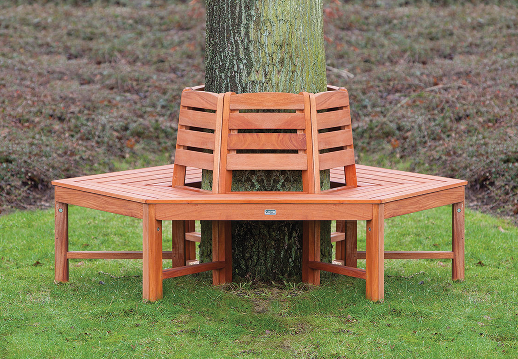 Tree bench, hardwood