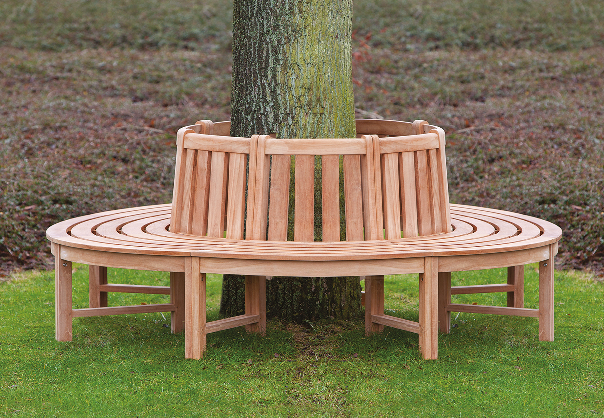 Baumbank Teak