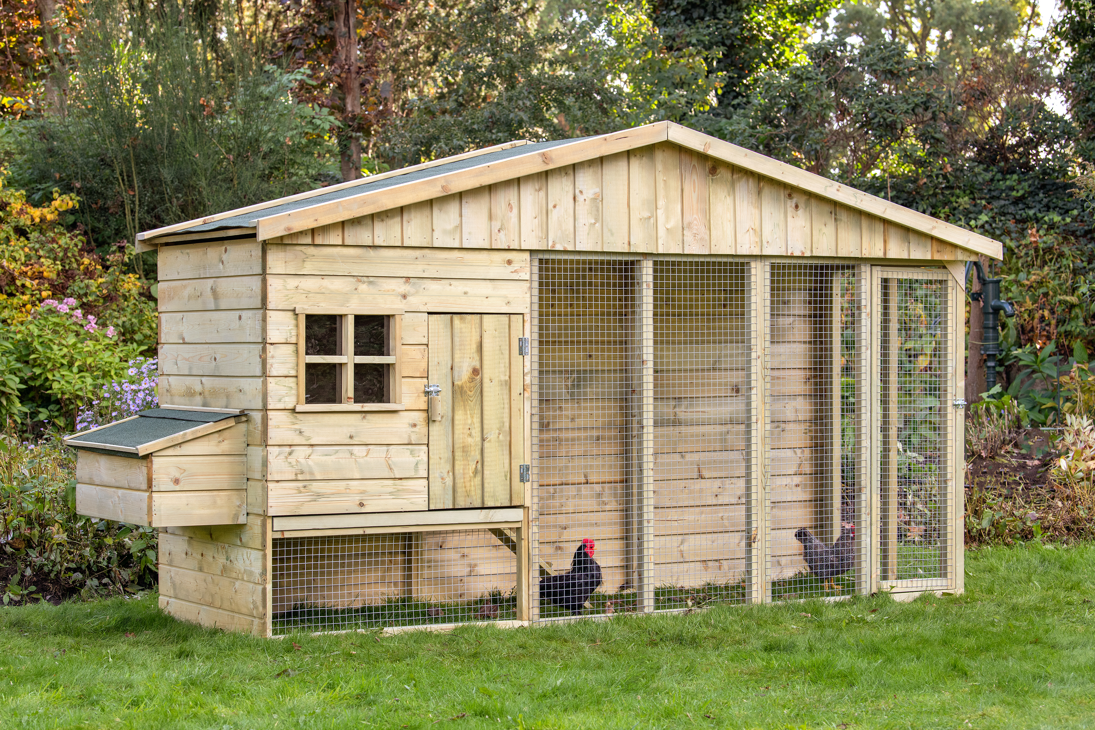 Ambiance Image Bielefelder Chicken Coop
