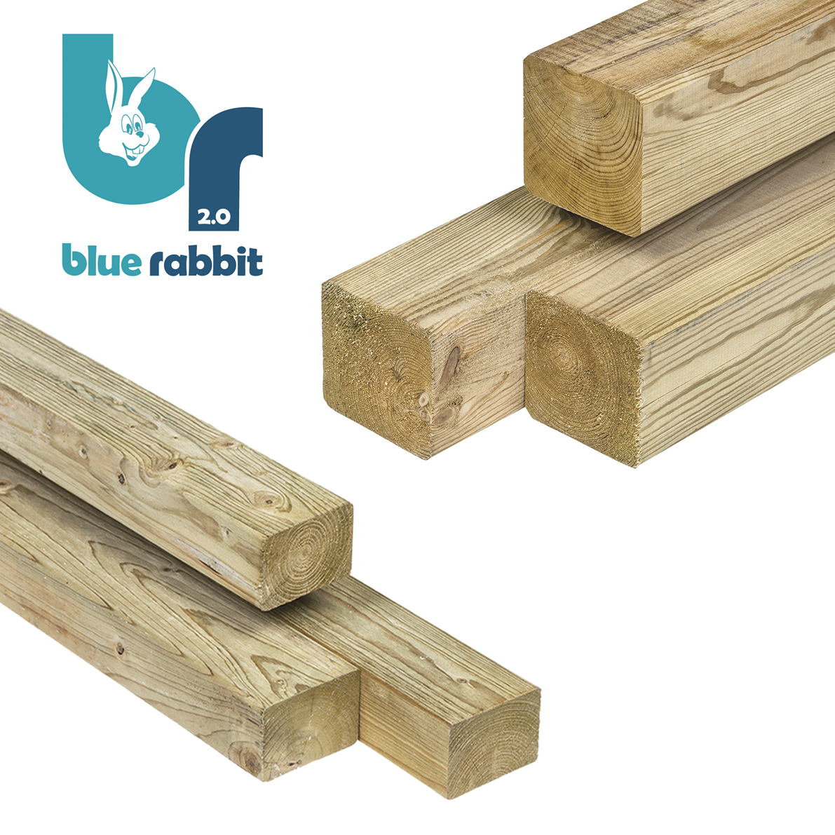 Blue Rabbit @Swing houtpakket