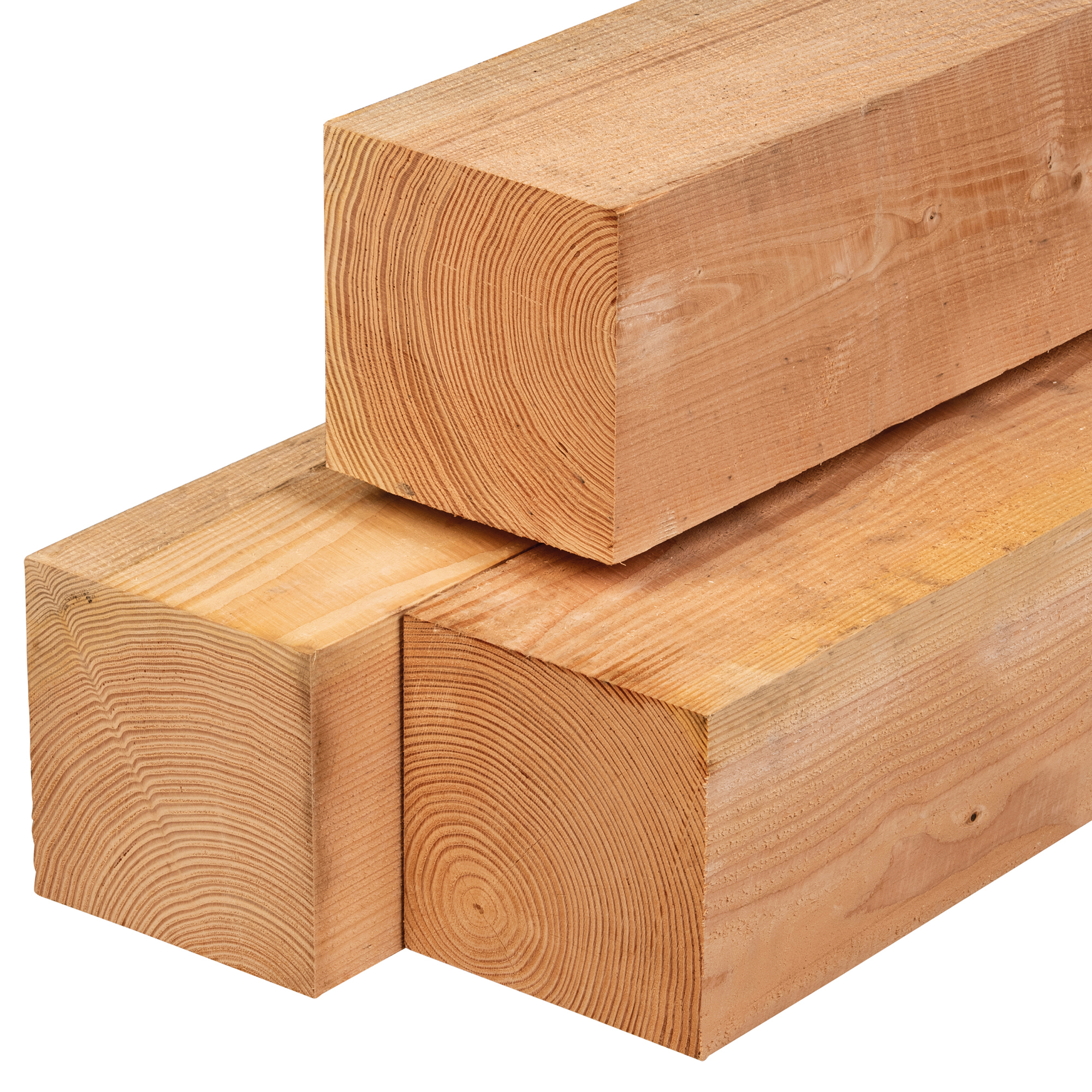 Douglas paal 20,0 x 20,0 x 600 cm, vers, fijn bezaagd, scherpkantig Douglas paal 20,0 x 20,0 x 600 cm, vers, fijn bezaagd, scherpkantig