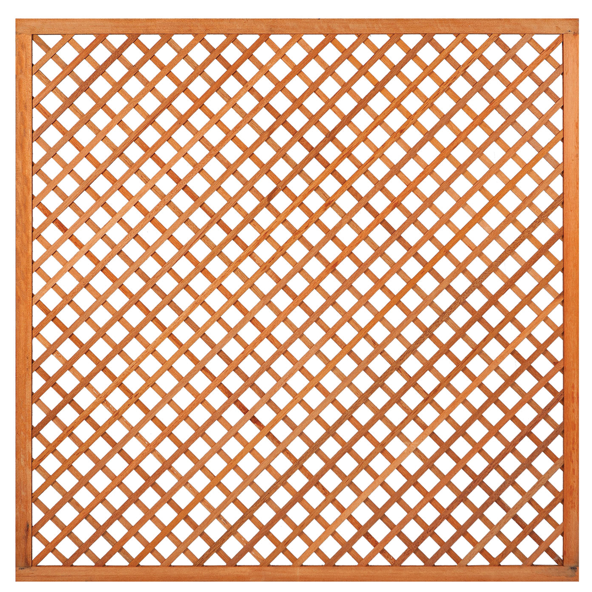 Trellis met lijst, diagonale lamellen hardhout kunstmatig gedroogd H180 x B180 cm Trellis met lijst, diagonale lamellen hardhout kunstmatig gedroogd H180 x B180 cm