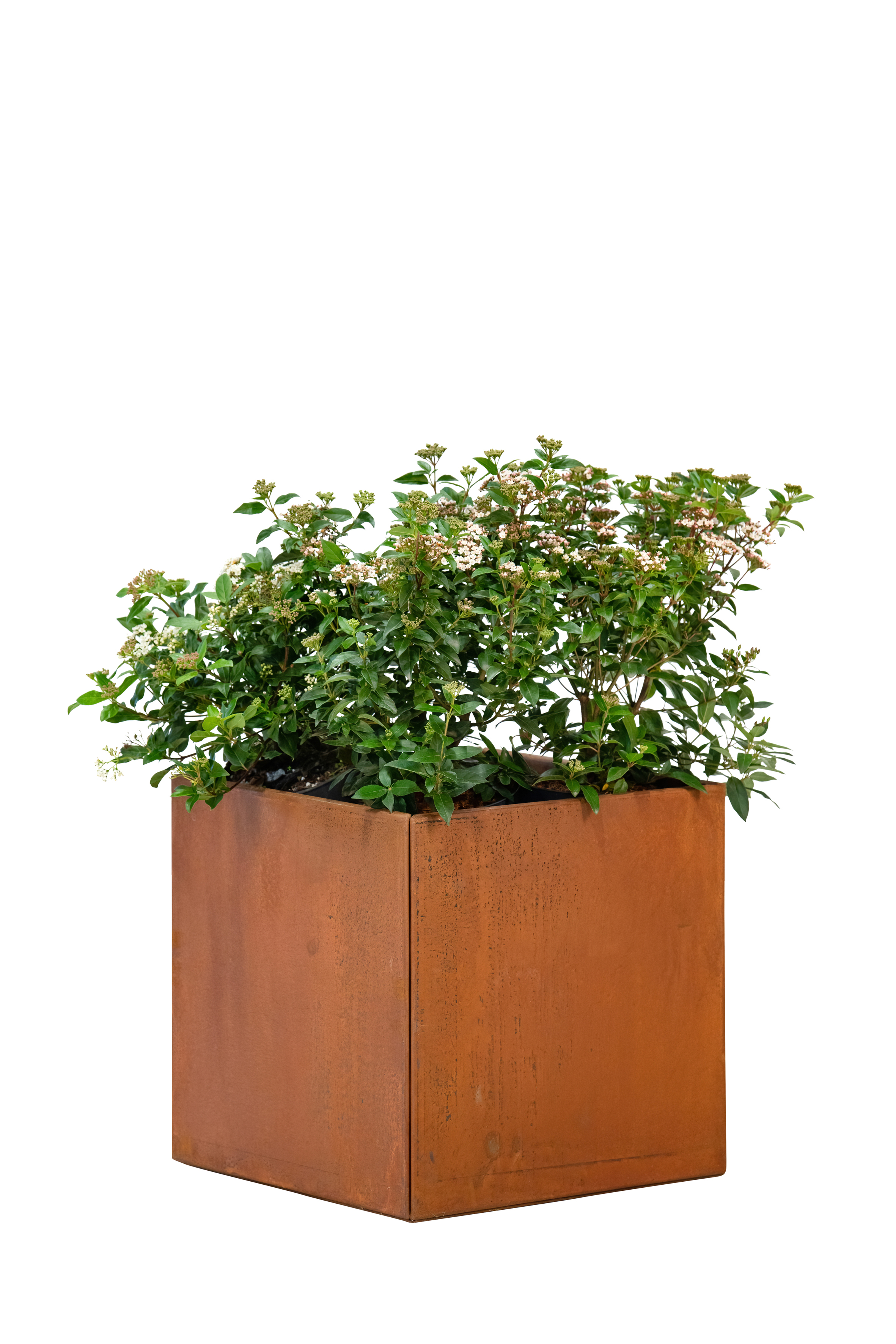 Blumenkasten Hudson klein 50x50x50cm