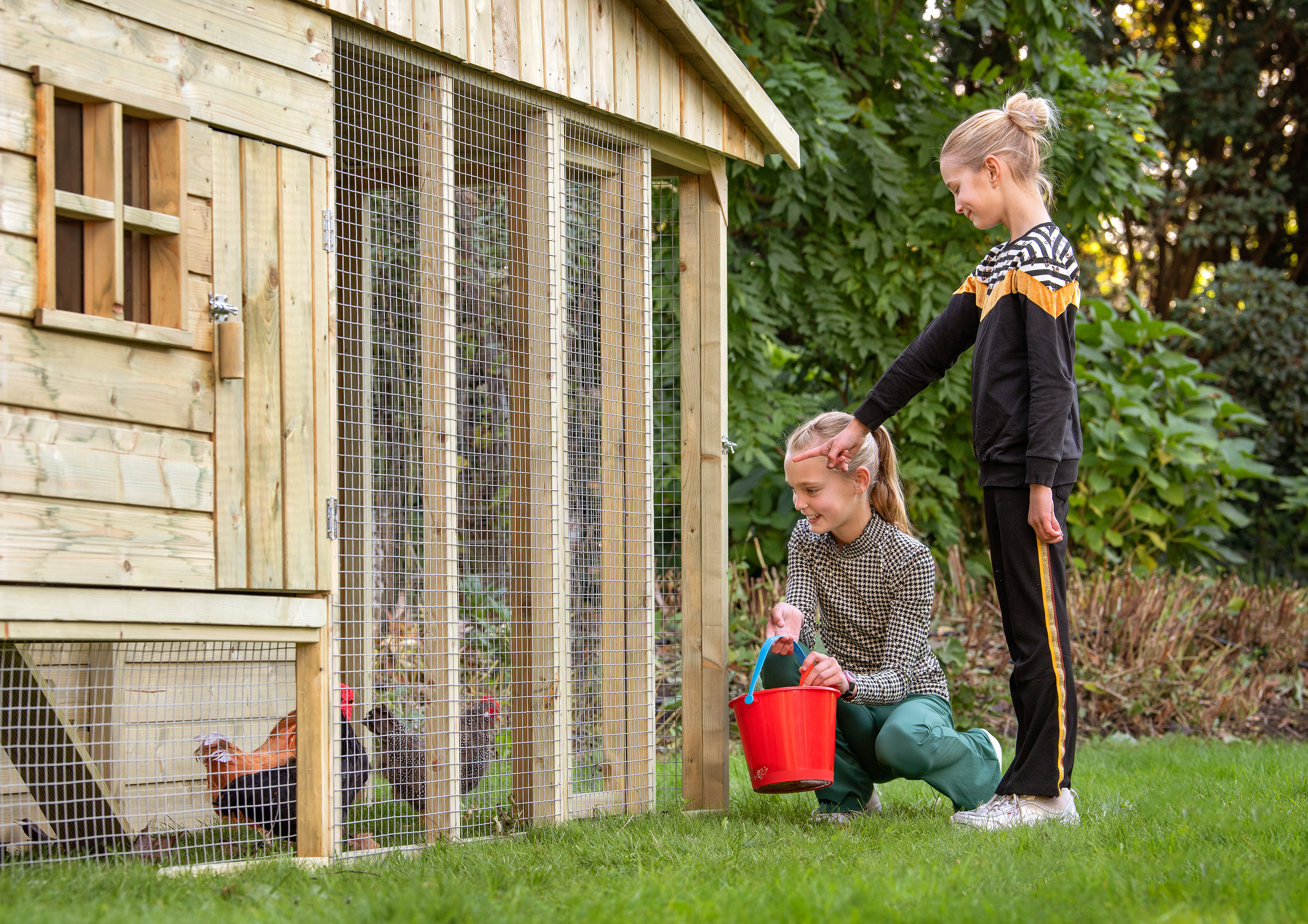 Ambiance Image Bielefelder Chicken Coop