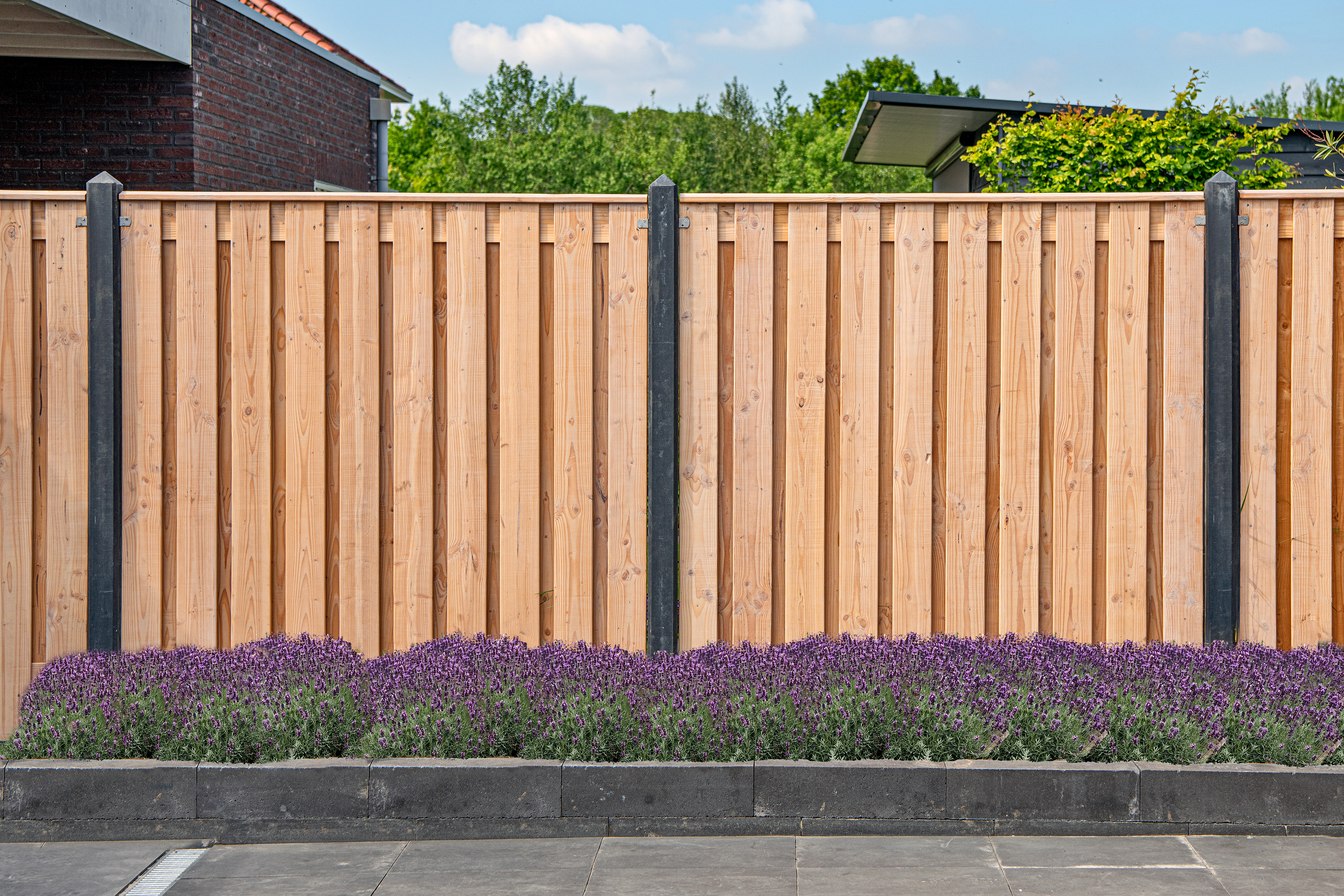 Tuinscherm Zwarte Woud, douglas, RVS-geschroefd, 21-planks (19+2) 180 x 180 cm
