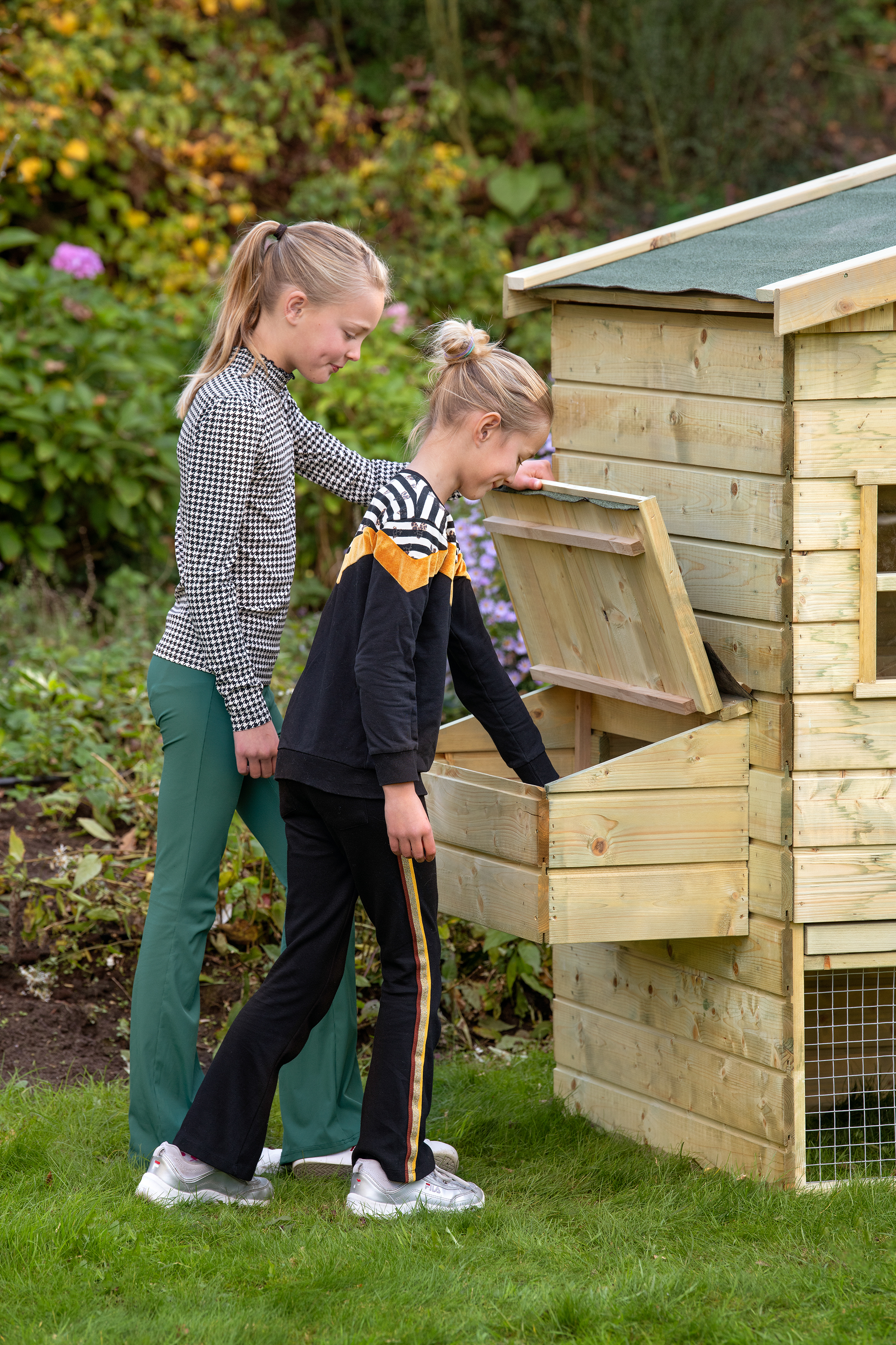 Ambiance Image Bielefelder Chicken Coop
