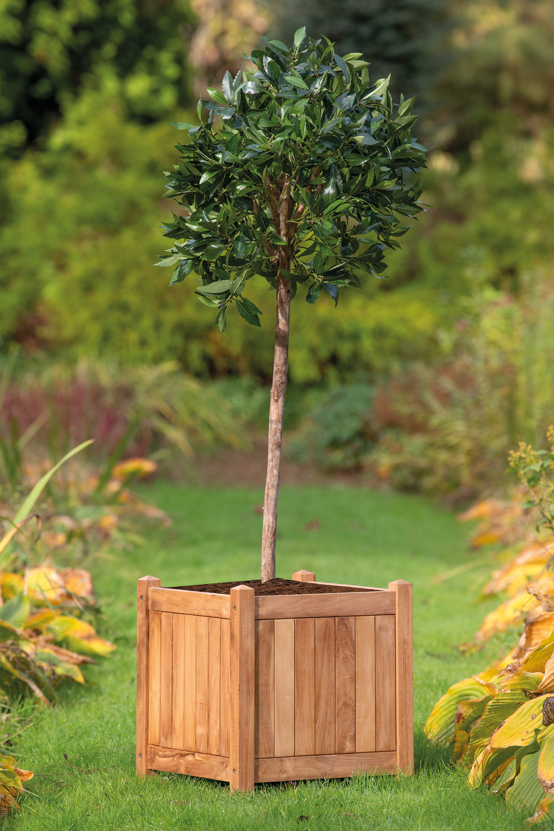 Bloembak Kalimantan 51 x 51 x 56 cm Bloembak Kalimantan 51 x 51 x 56 cm