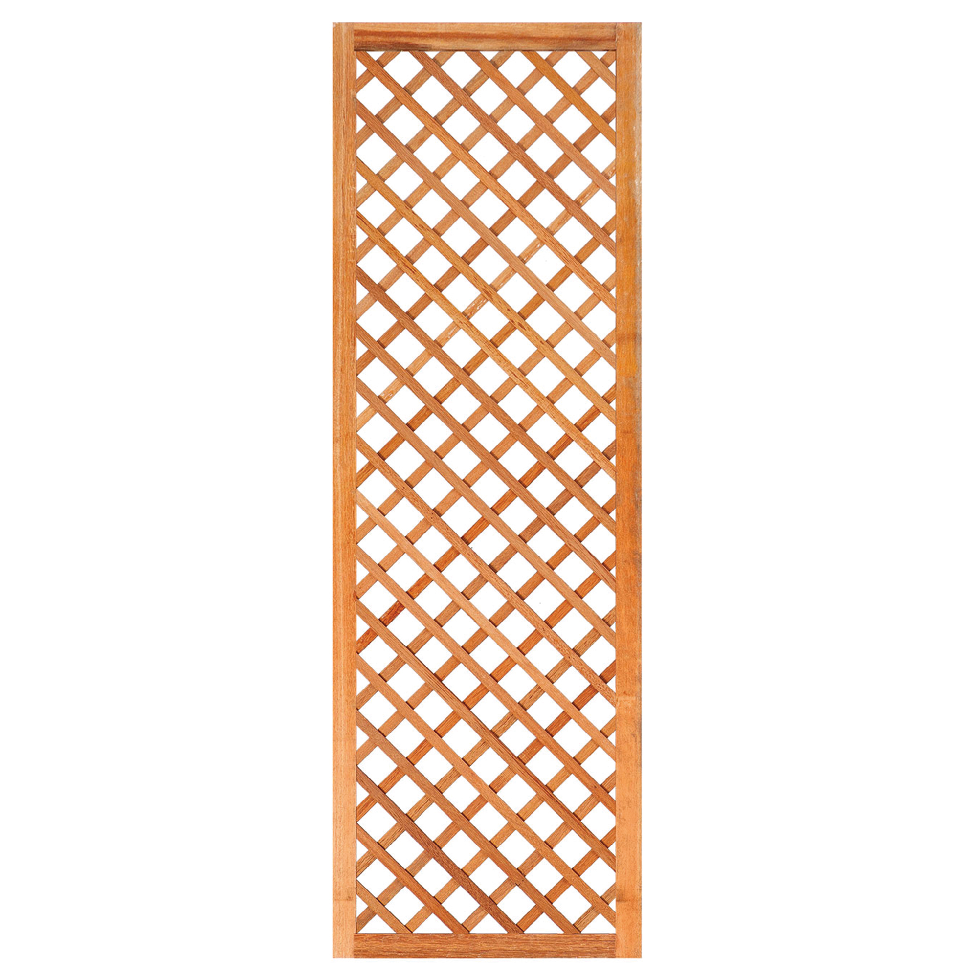 Trellis met lijst, diagonale lamellen hardhout kunstmatig gedroogd H180 x B60 cm Trellis met lijst, diagonale lamellen hardhout kunstmatig gedroogd H180 x B60 cm