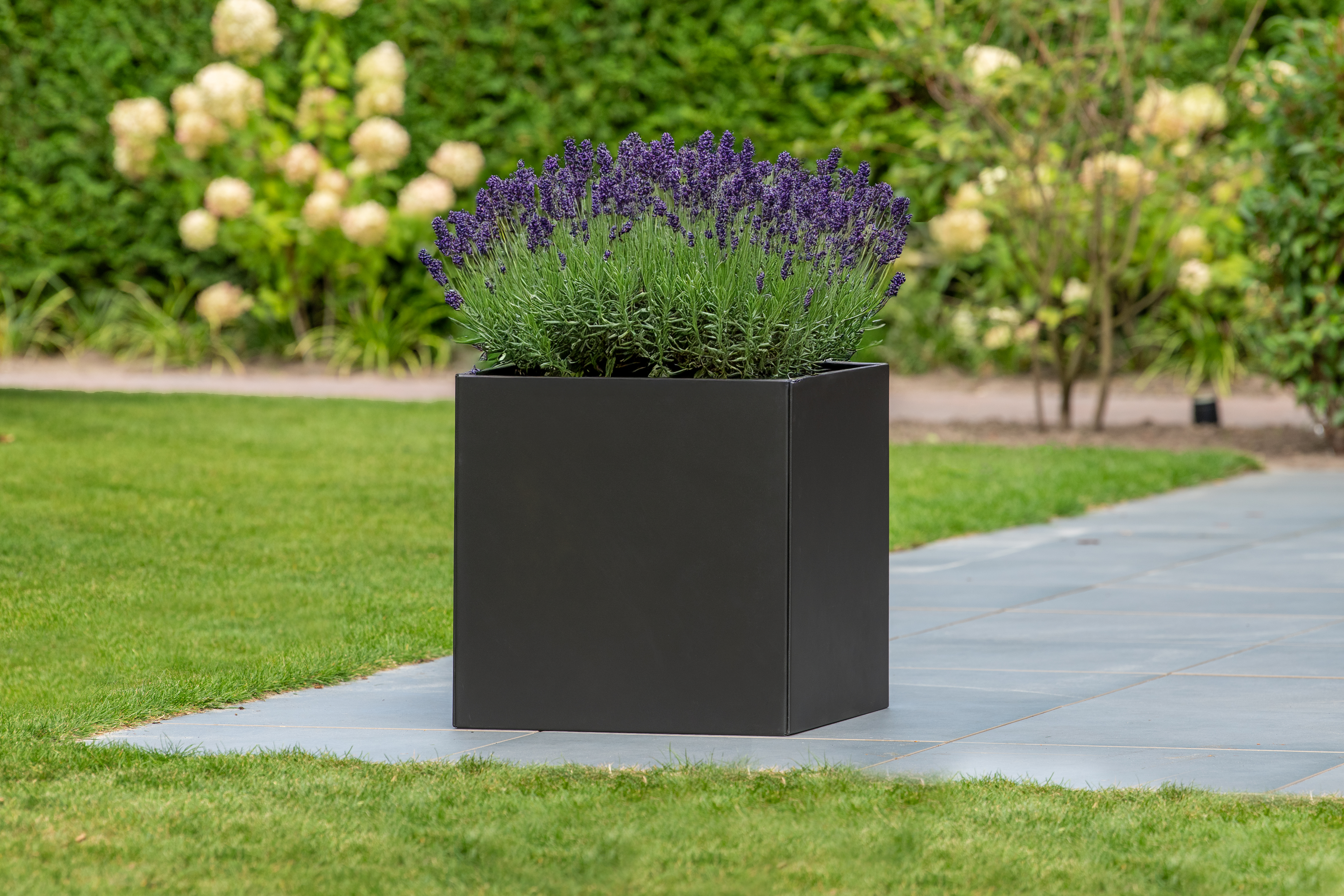 Bloembak Mohawk, zwart gepoedercoat staal 50 x 50 x 50 cm