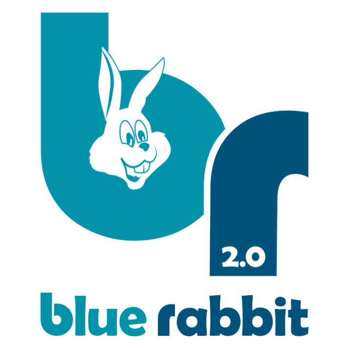 Blue Rabbit @Ramp incl. zelfbouwdoos | Tuindeco.com